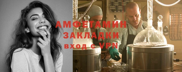 индика Ладушкин