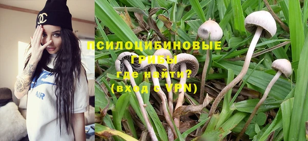 гидропоника Алзамай