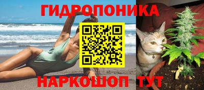 СК Конаково